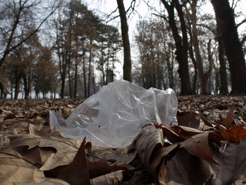plastika