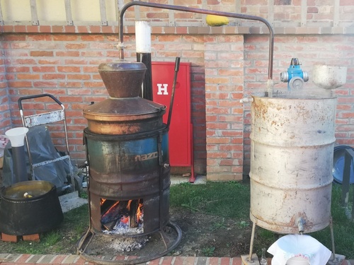 bakinsp3