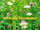 ostanimo odgovorni