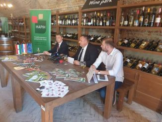 vinski turizam