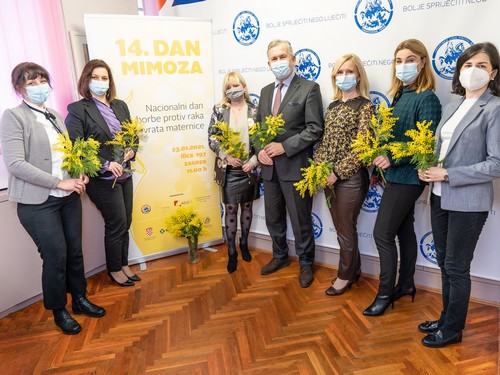dan mimoza dan mimoza