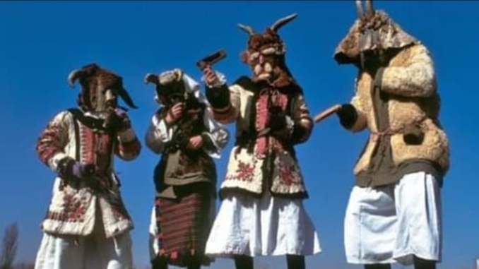 buše