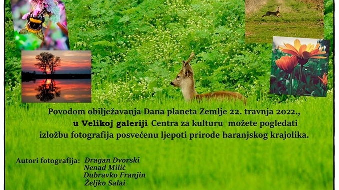 izložba