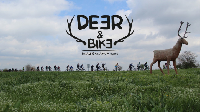 deer and bike
