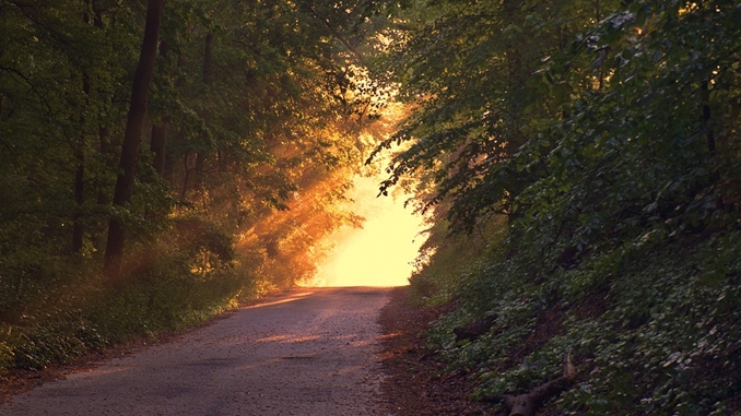 nature