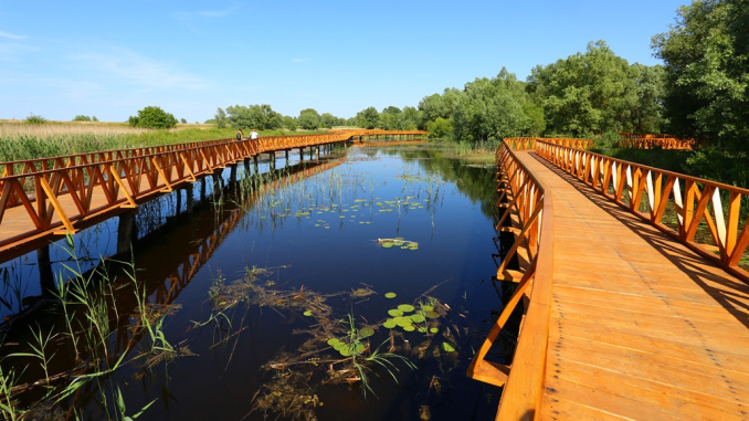 Kopački_rit_wooden_trail